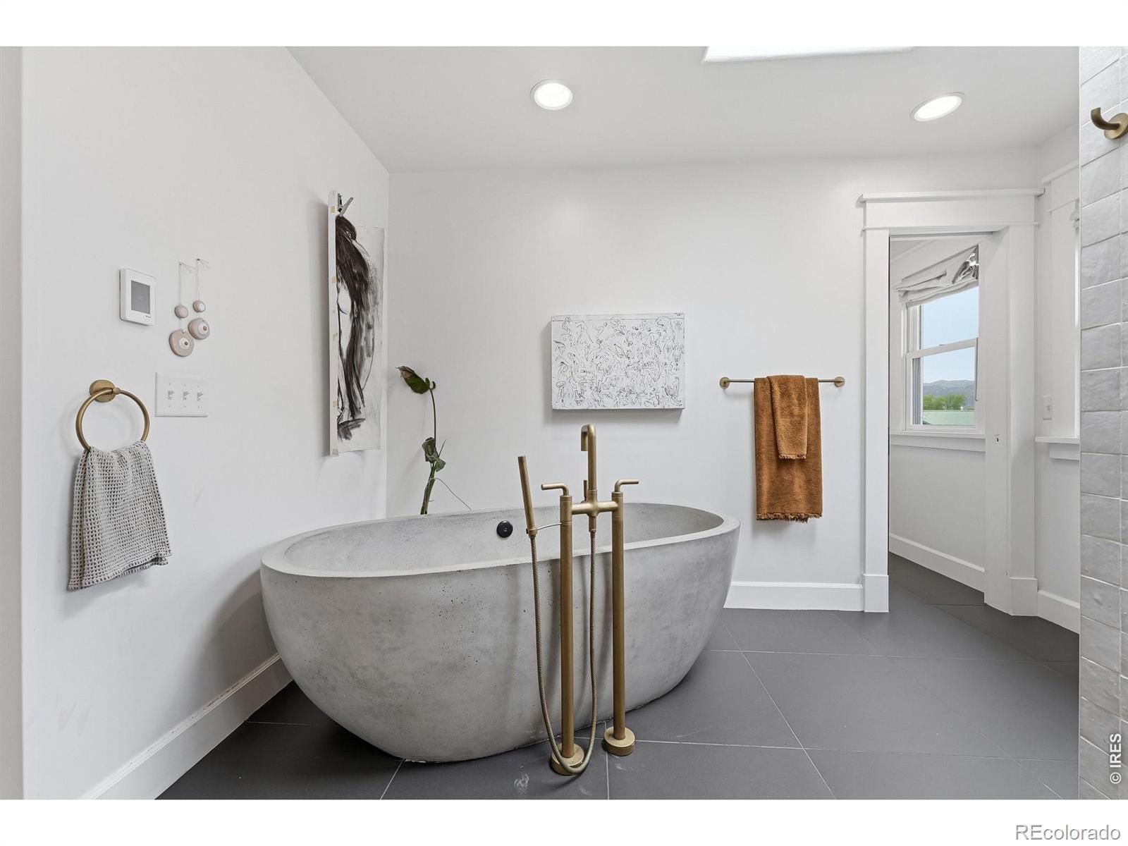 MLS #RECIR1058494 image #19