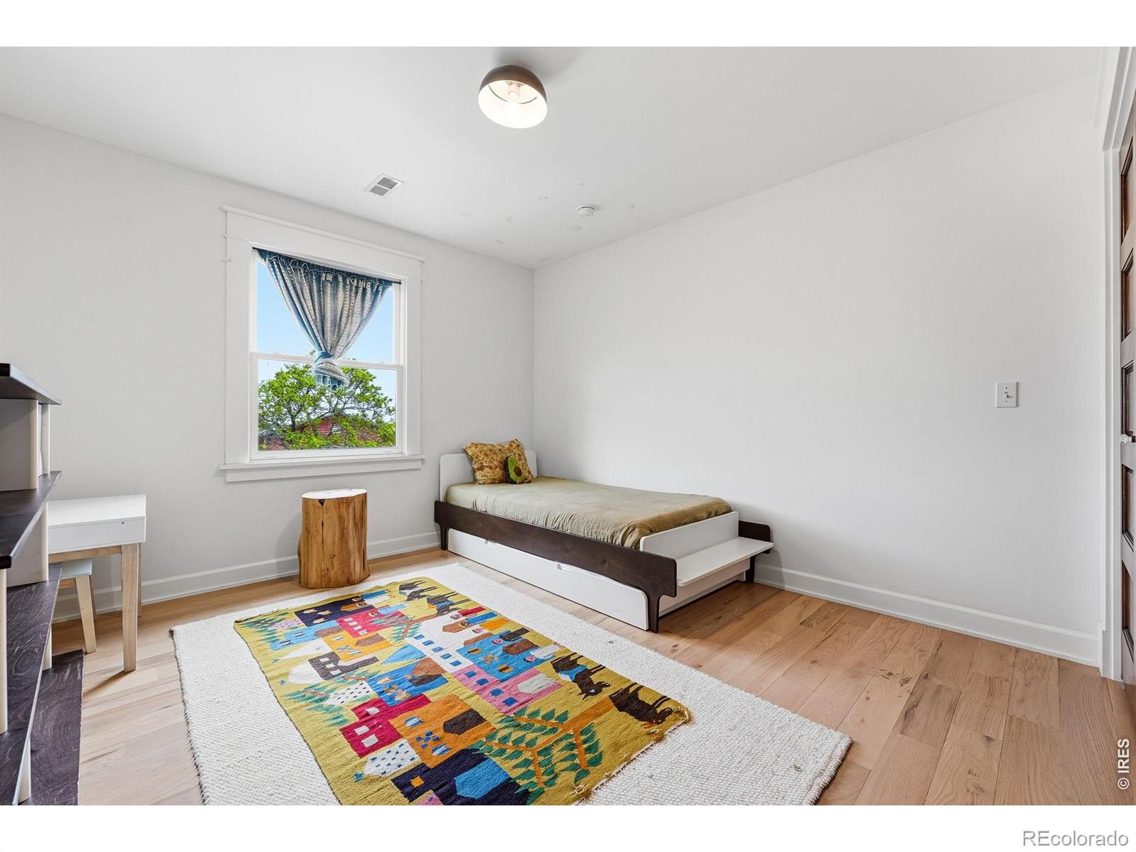 MLS #RECIR1058494 image #24