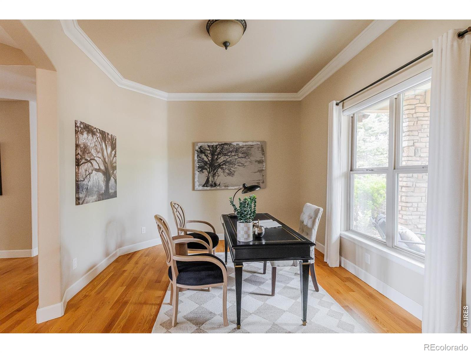 MLS #RECIR1059114 image #15
