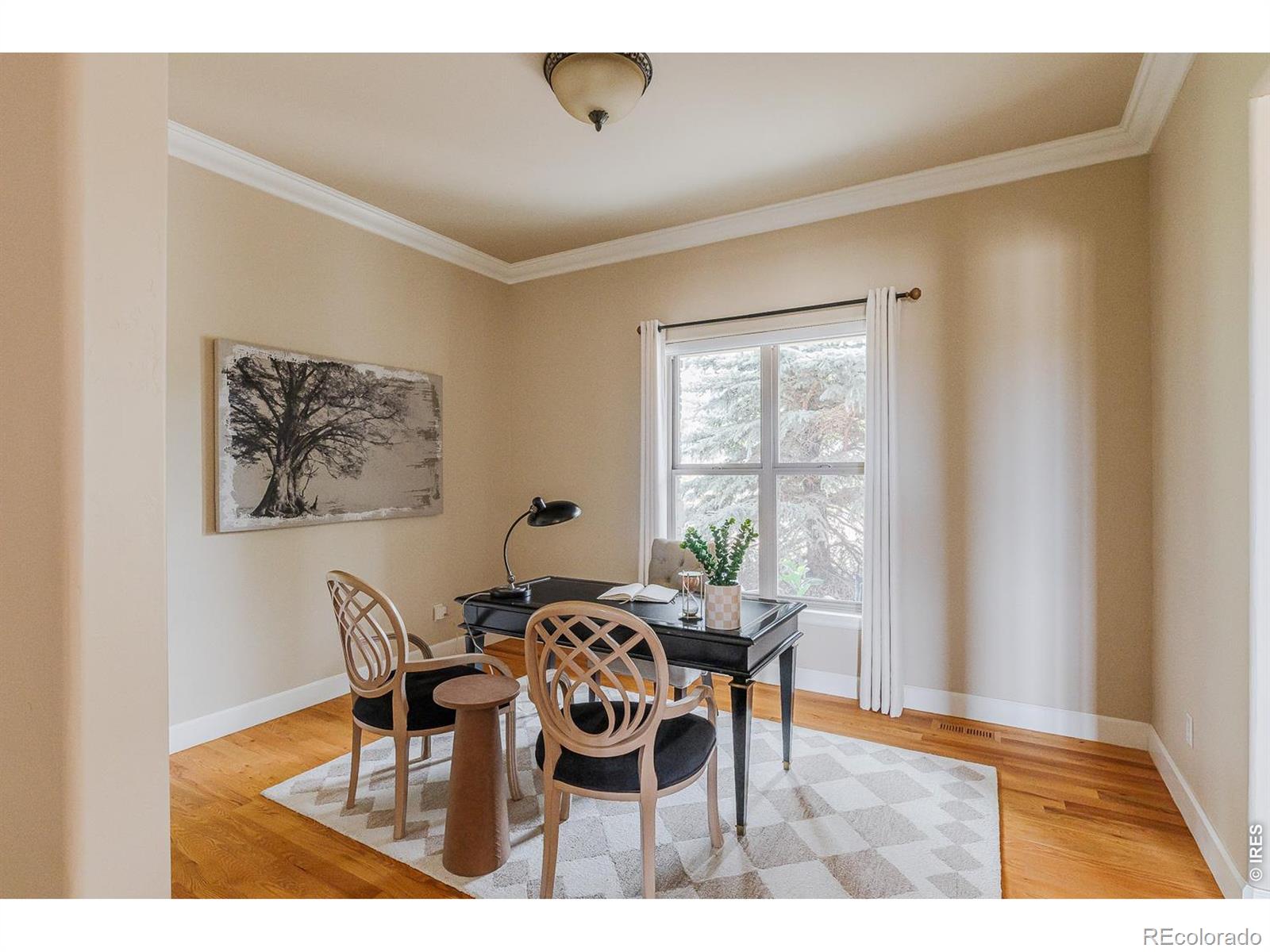 MLS #RECIR1059114 image #16
