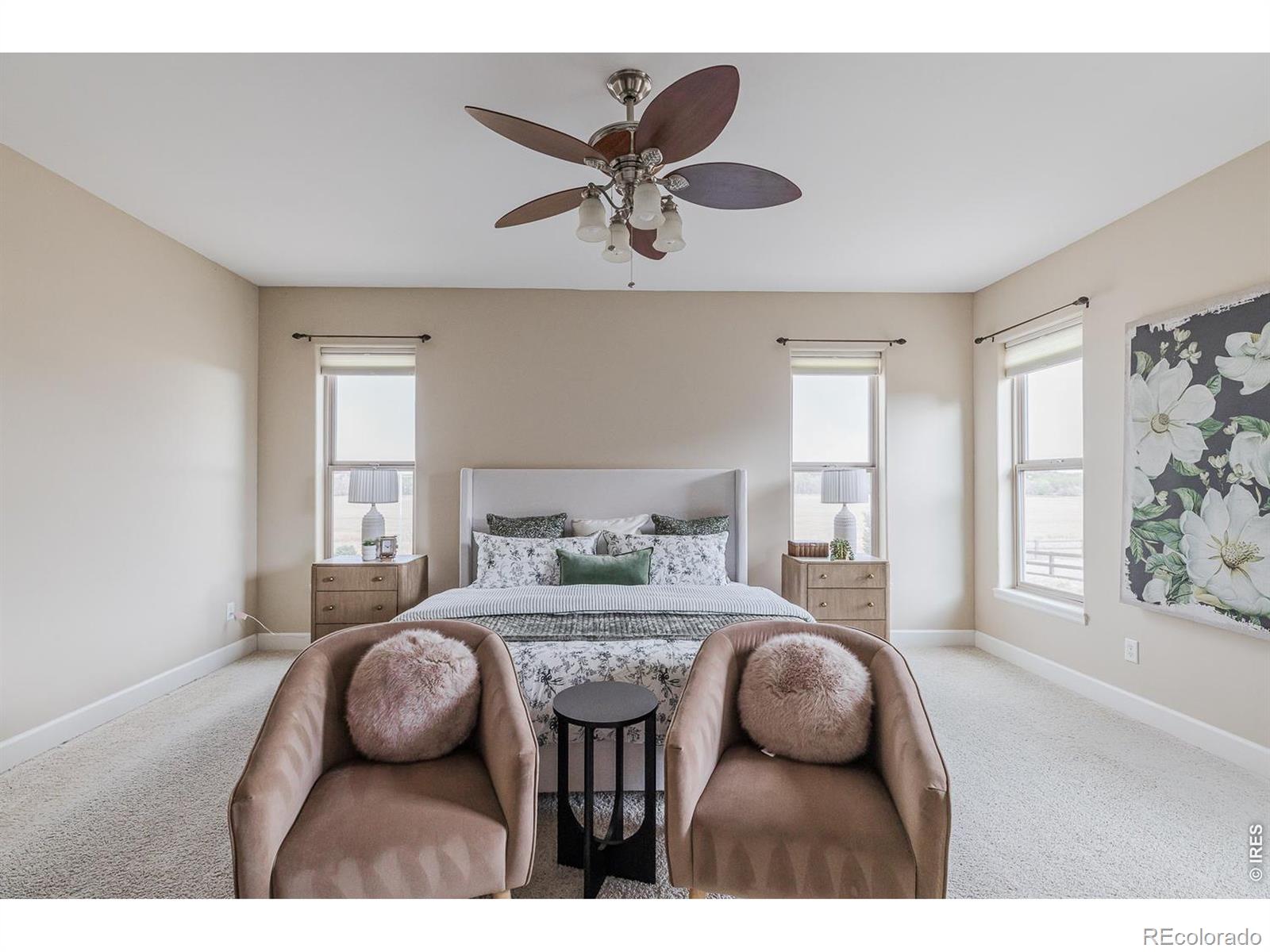MLS #RECIR1059114 image #19