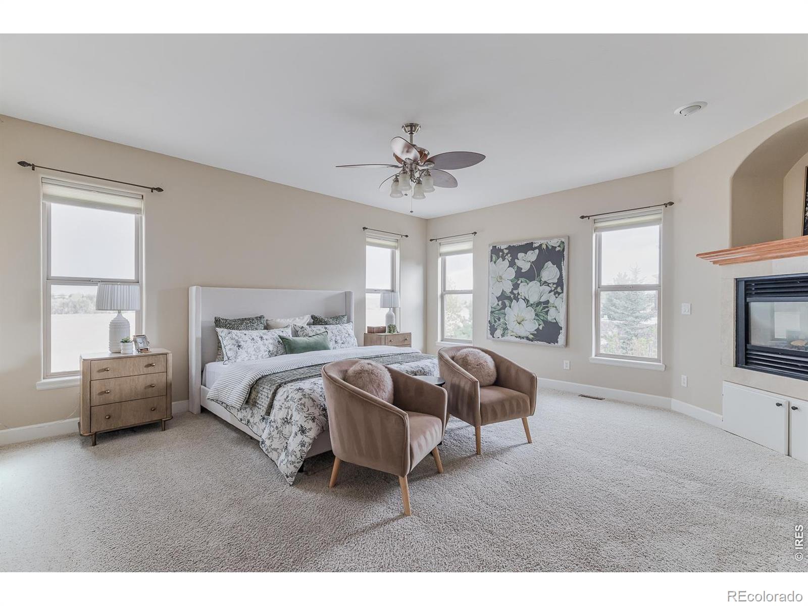 MLS #RECIR1059114 image #20
