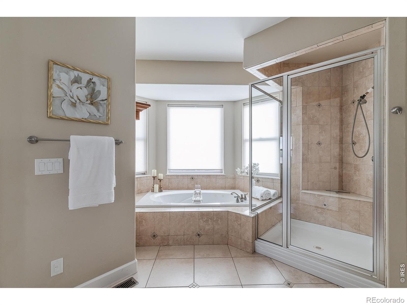 MLS #RECIR1059114 image #24