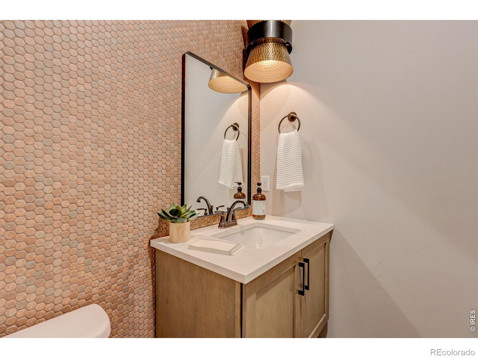 MLS #RECIR1059773 image #13