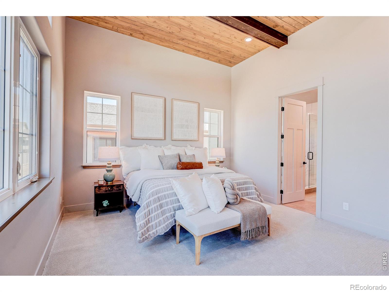 MLS #RECIR1059773 image #18