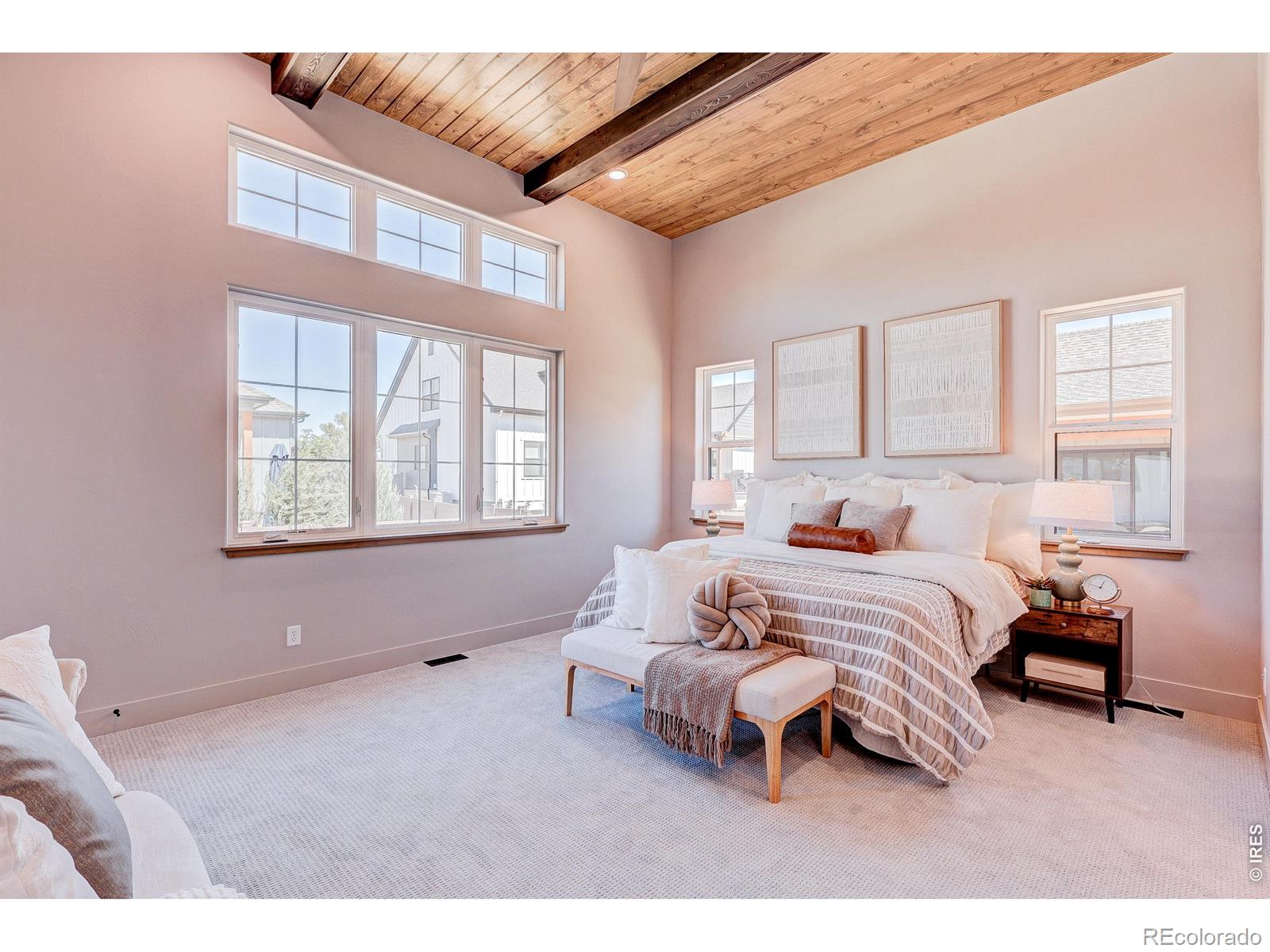 MLS #RECIR1059773 image #19