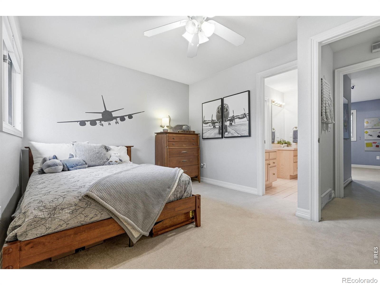 MLS #RECIR1059998 image #29