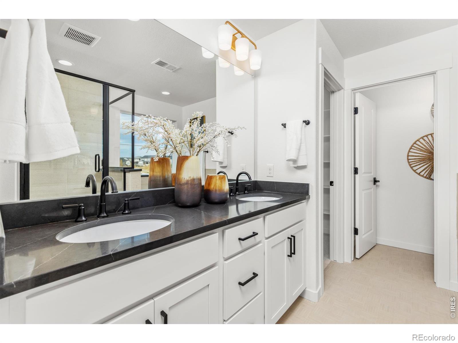 MLS #RECIR1060099 image #21