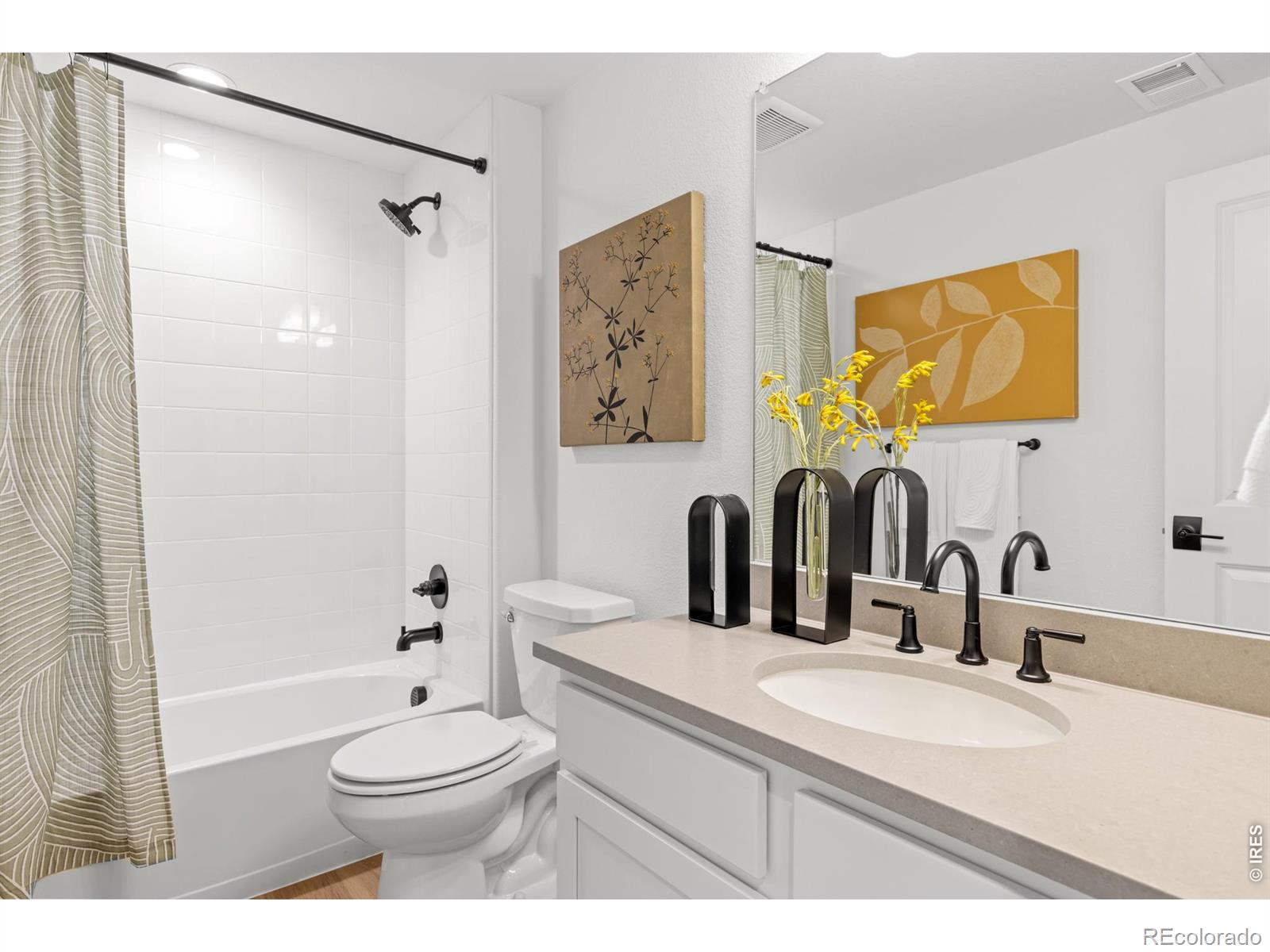 MLS #RECIR1060099 image #29