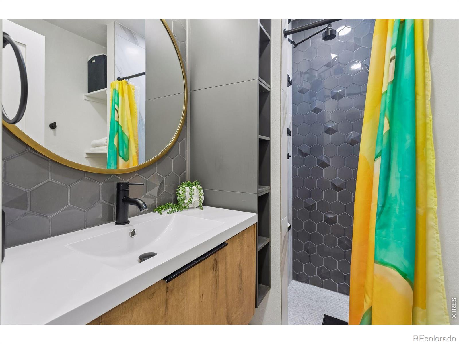 MLS #RECIR1060163 image #24