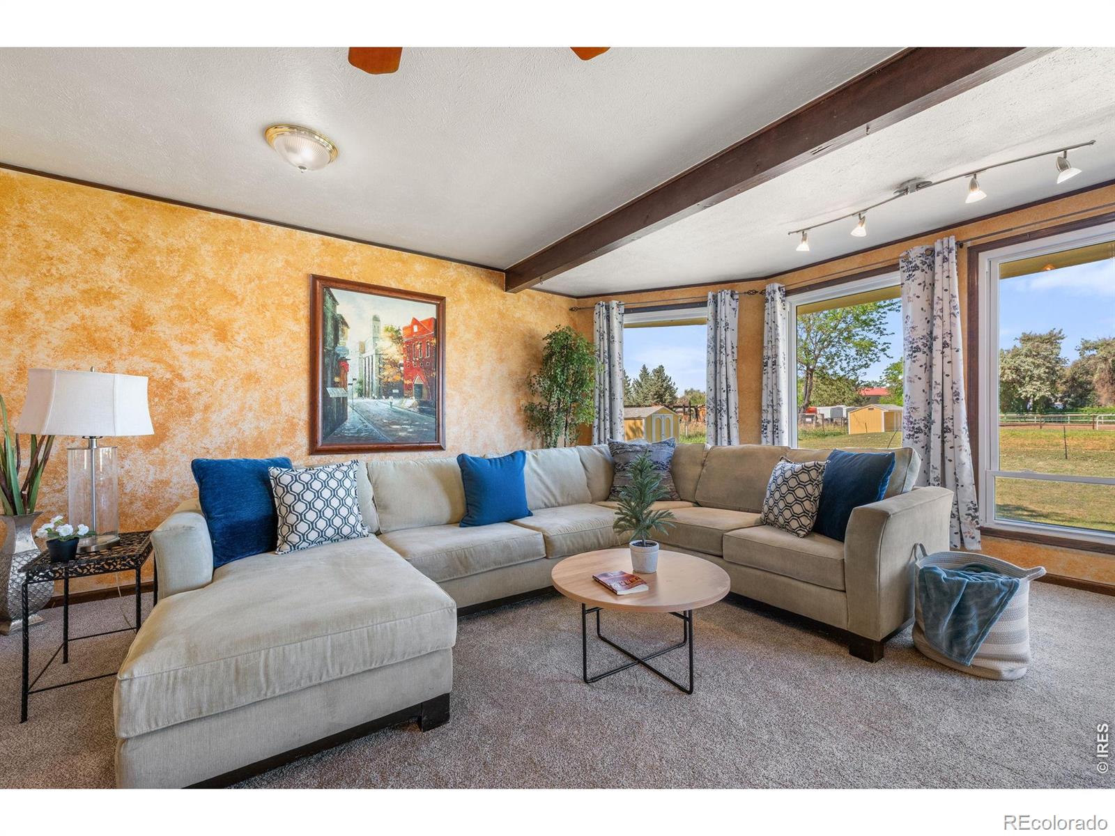 MLS #RECIR1061370 image #13