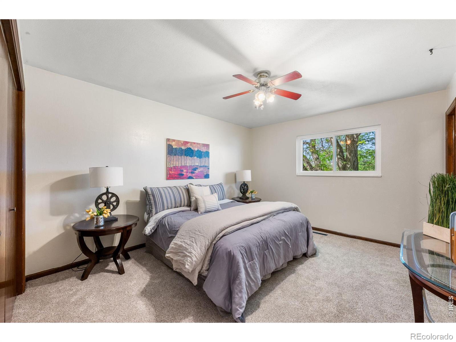 MLS #RECIR1061370 image #19