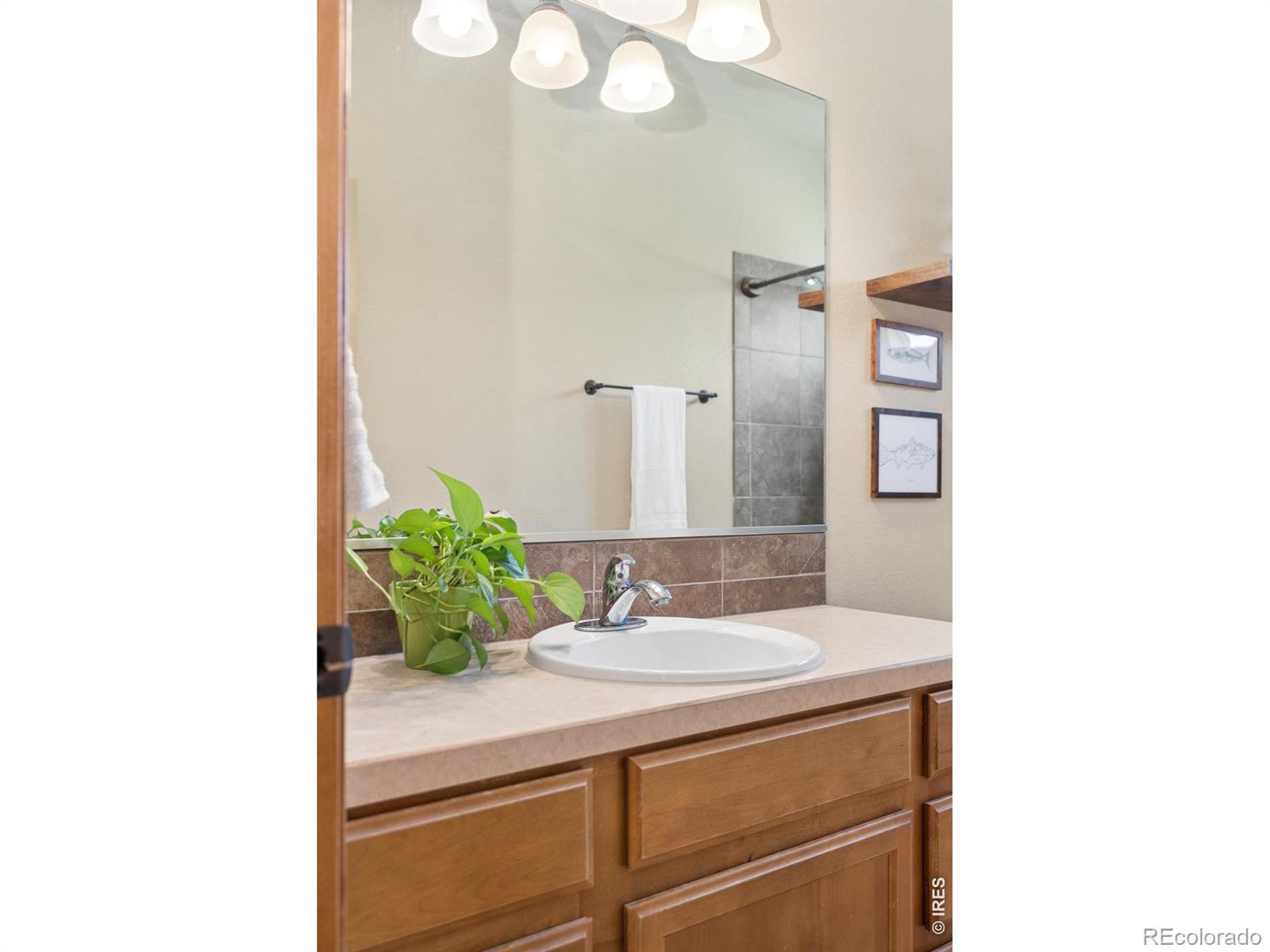 MLS #RECIR1061387 image #20