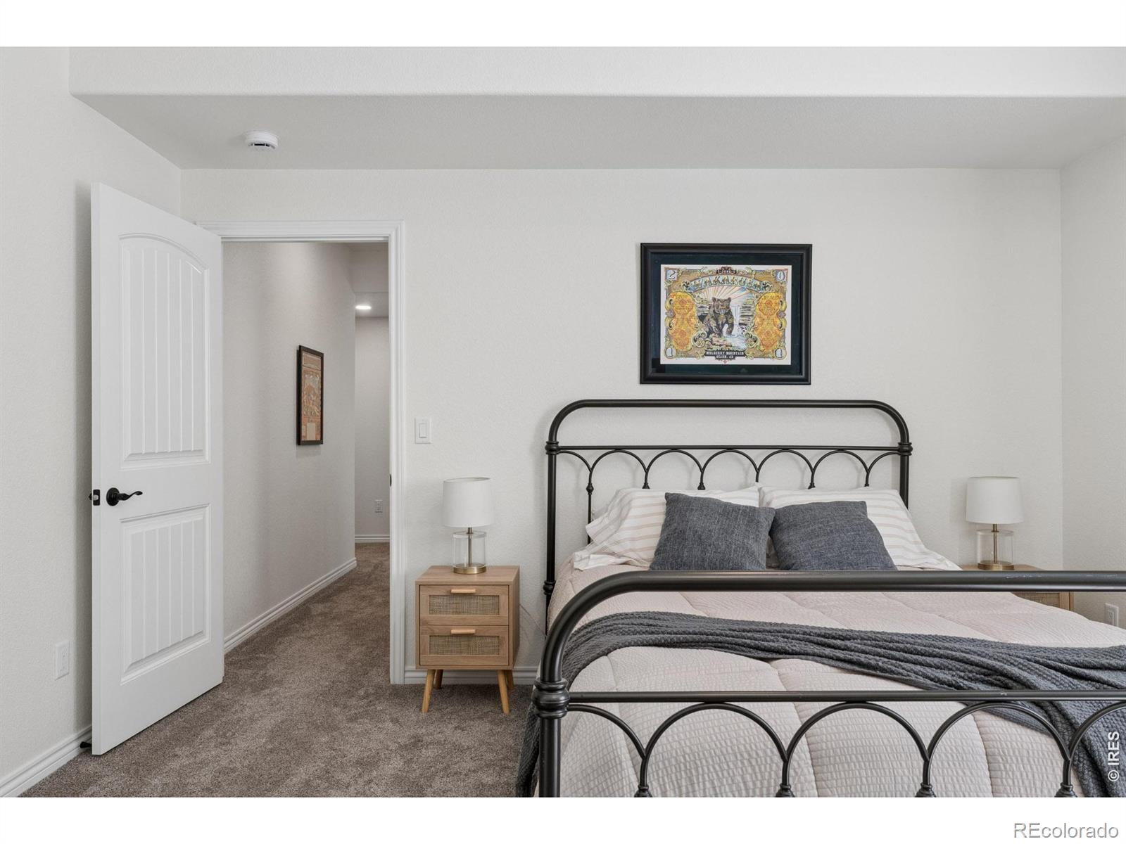 MLS #RECIR1061387 image #26