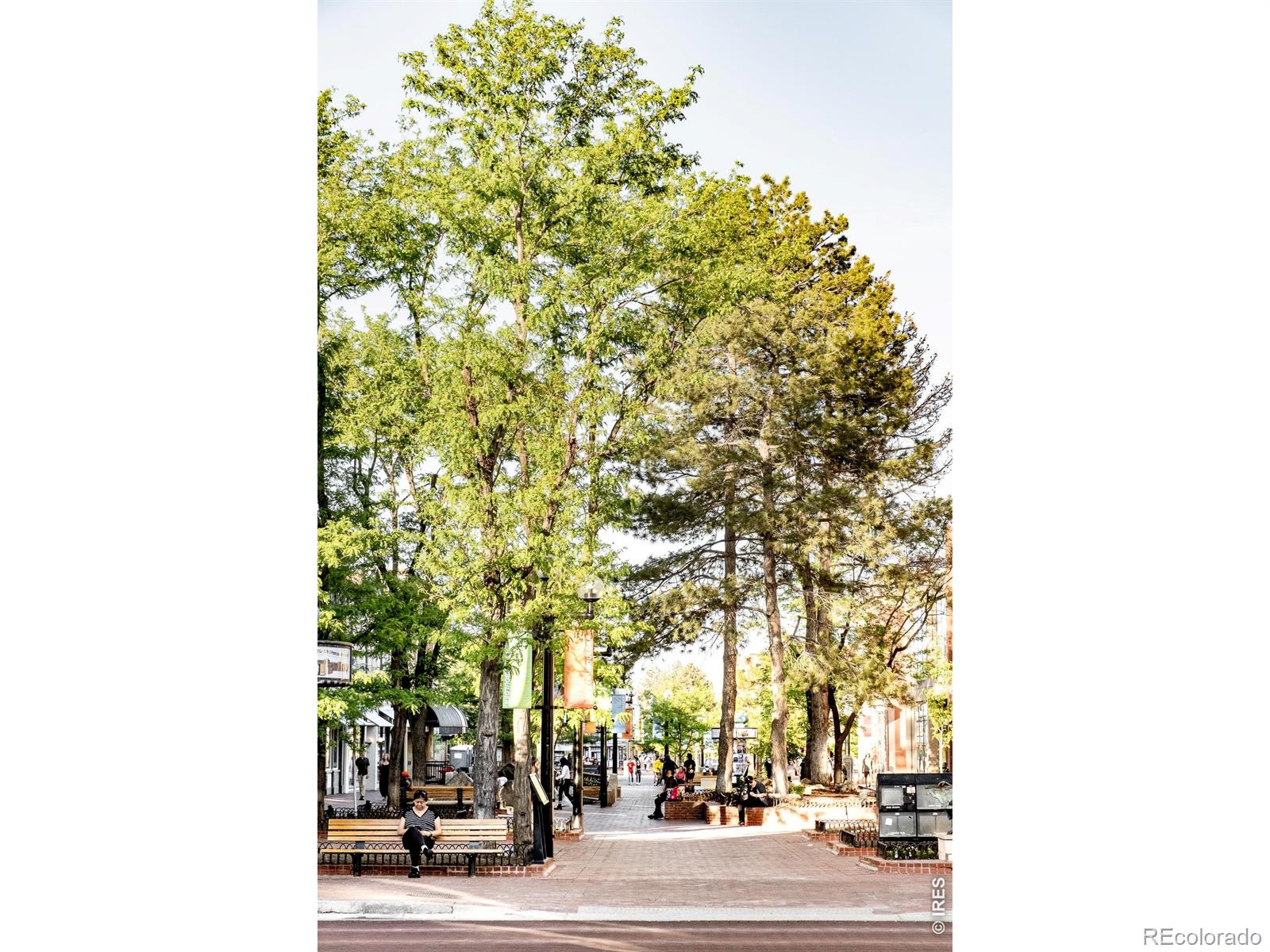 MLS #RECIR1062086 image #48