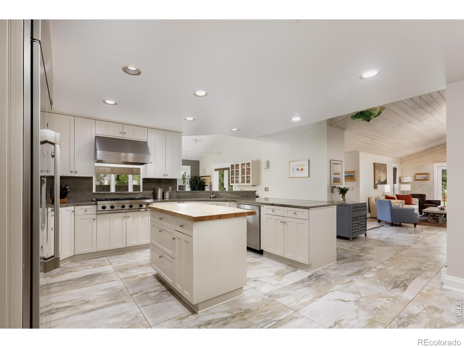 MLS #RECIR1062880 image #14