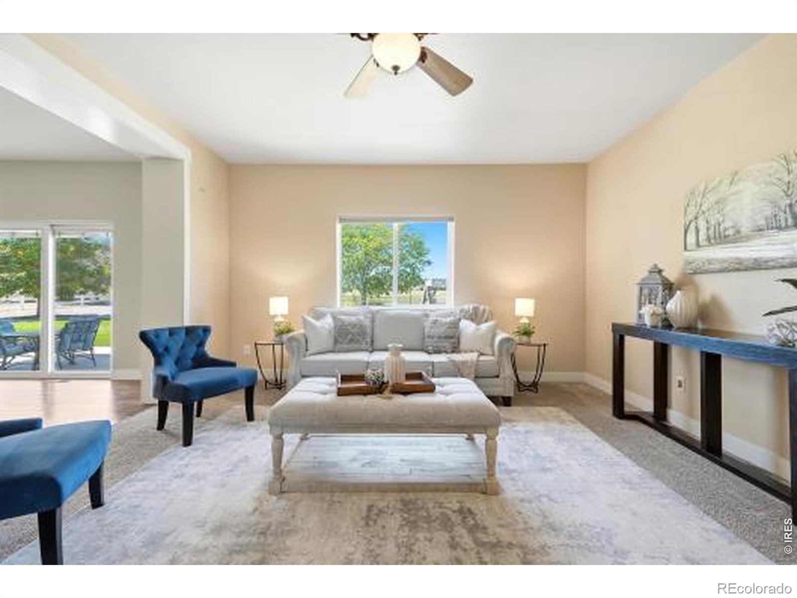 MLS #RECIR1063085 image #10