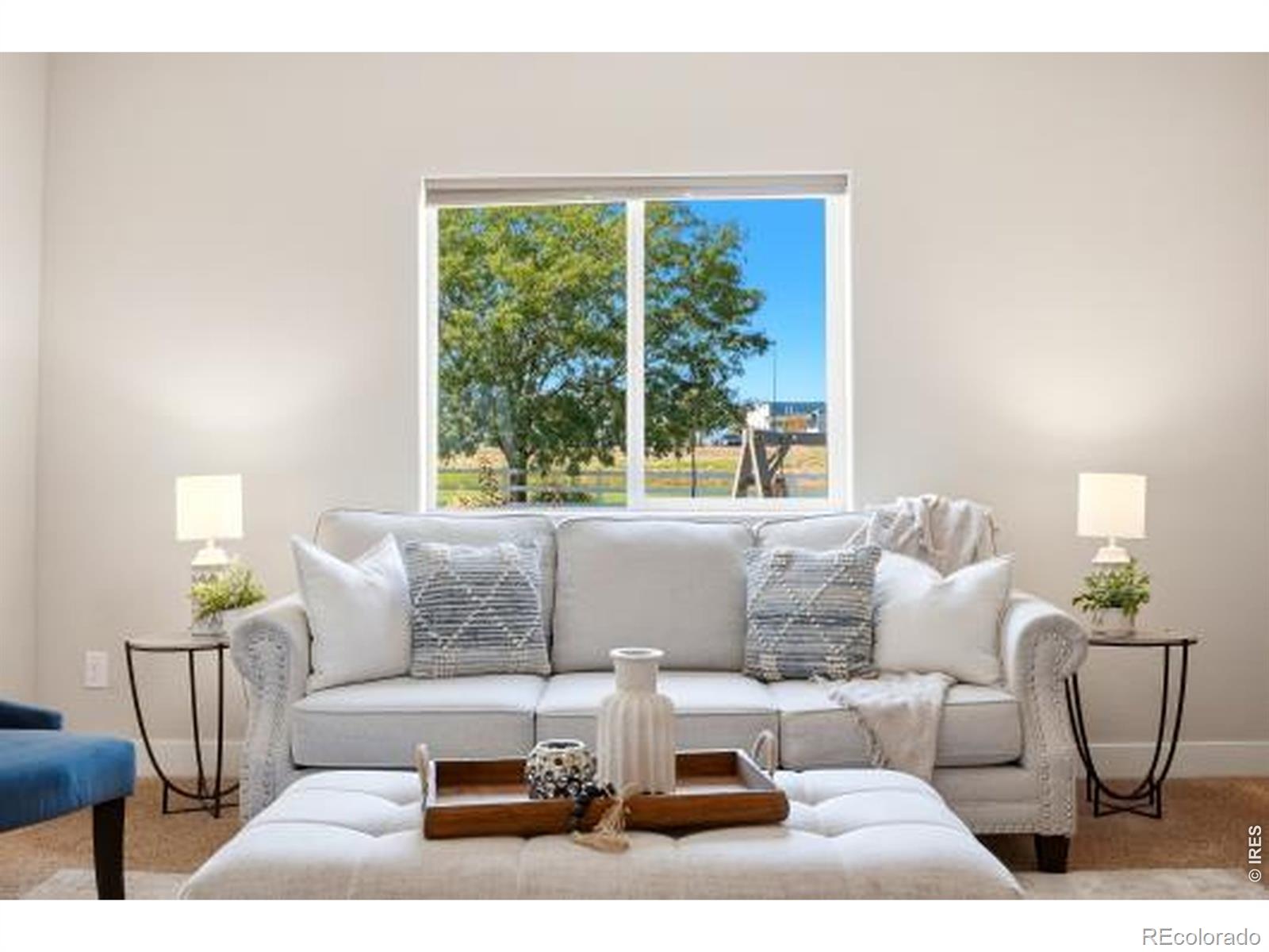 MLS #RECIR1063085 image #11