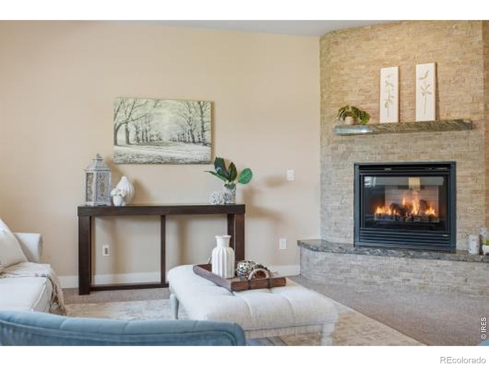 MLS #RECIR1063085 image #13