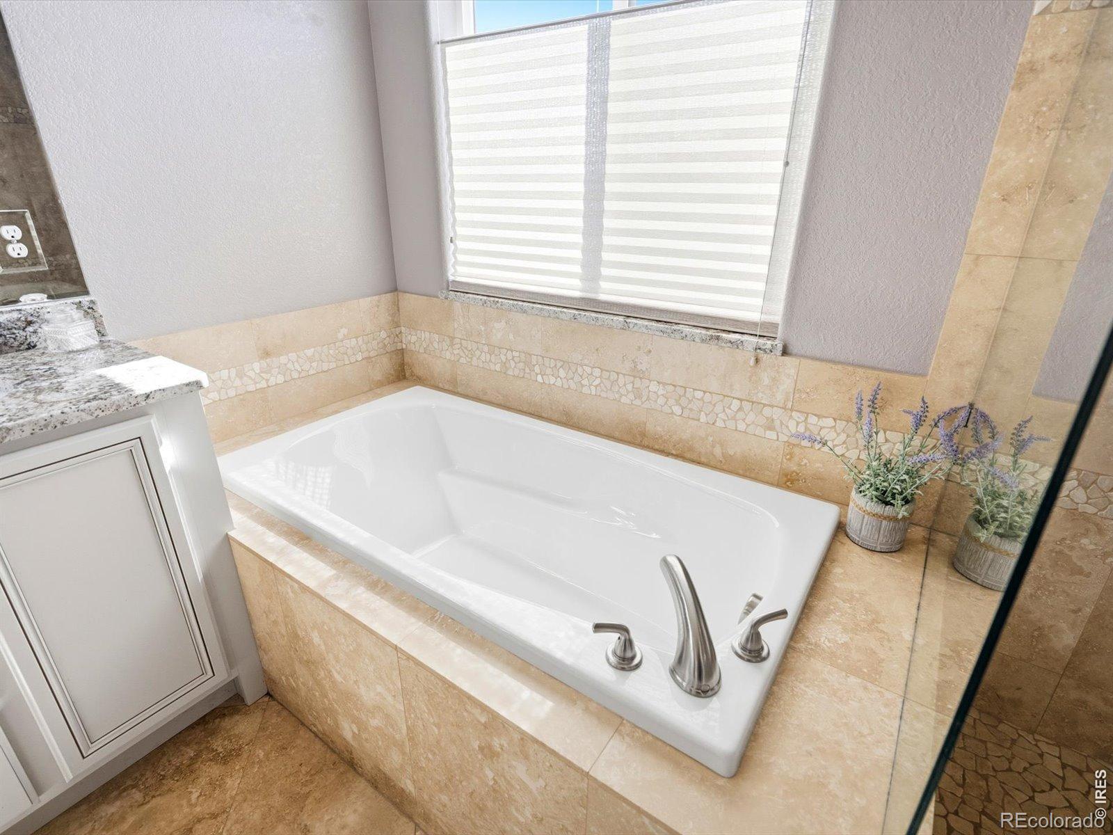 MLS #RECIR1063085 image #34