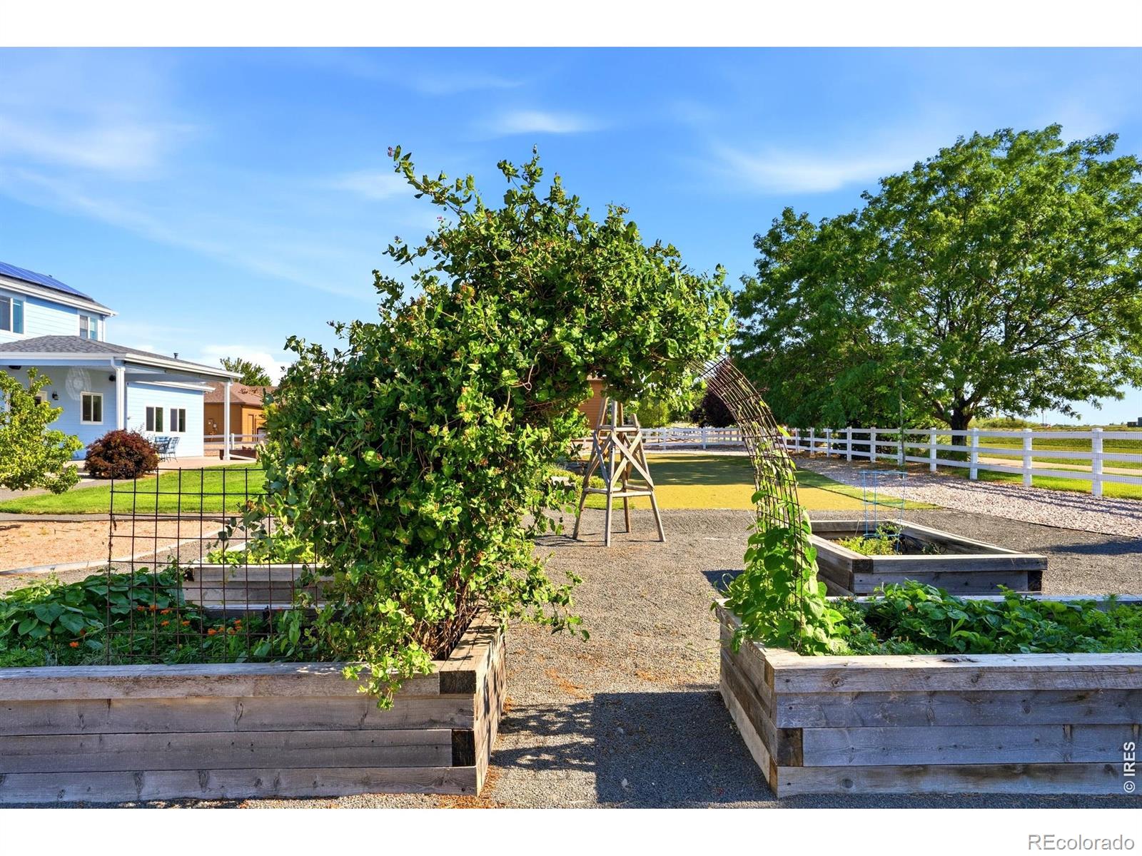 MLS #RECIR1063085 image #46