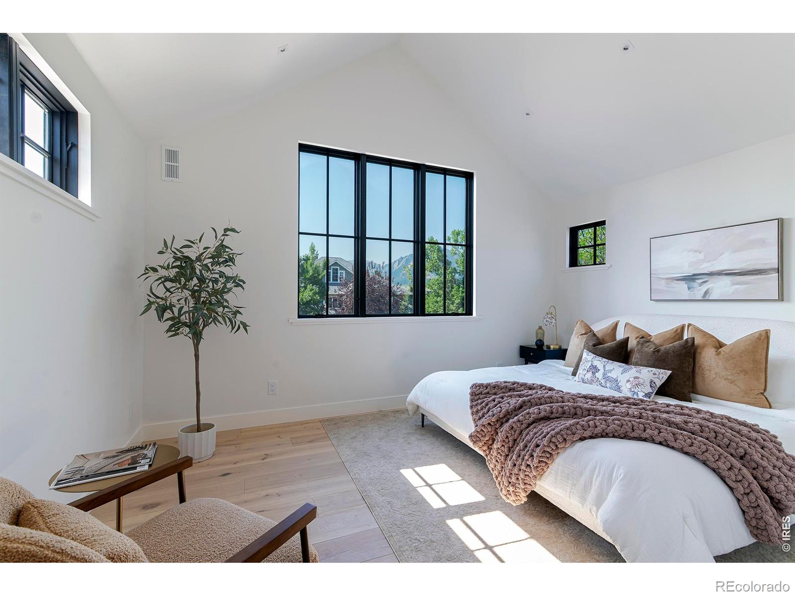 MLS #RECIR1063382 image #22