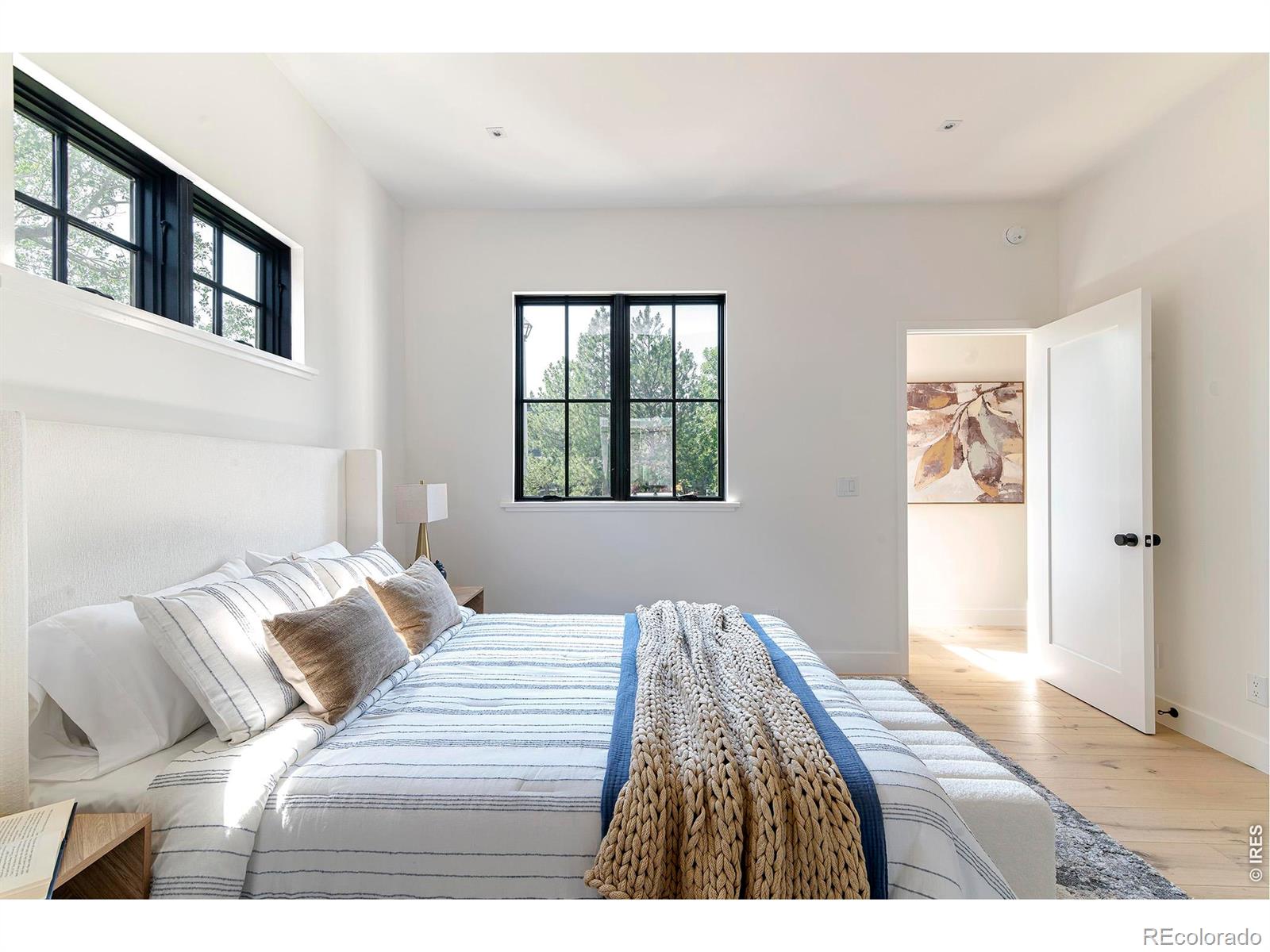 MLS #RECIR1063382 image #30