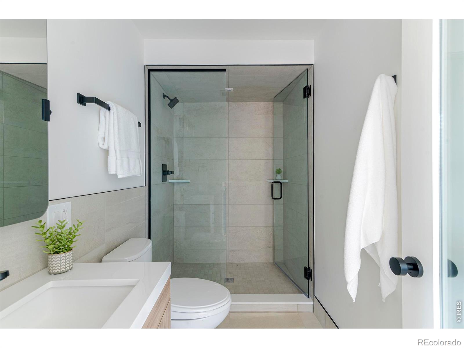 MLS #RECIR1063382 image #31