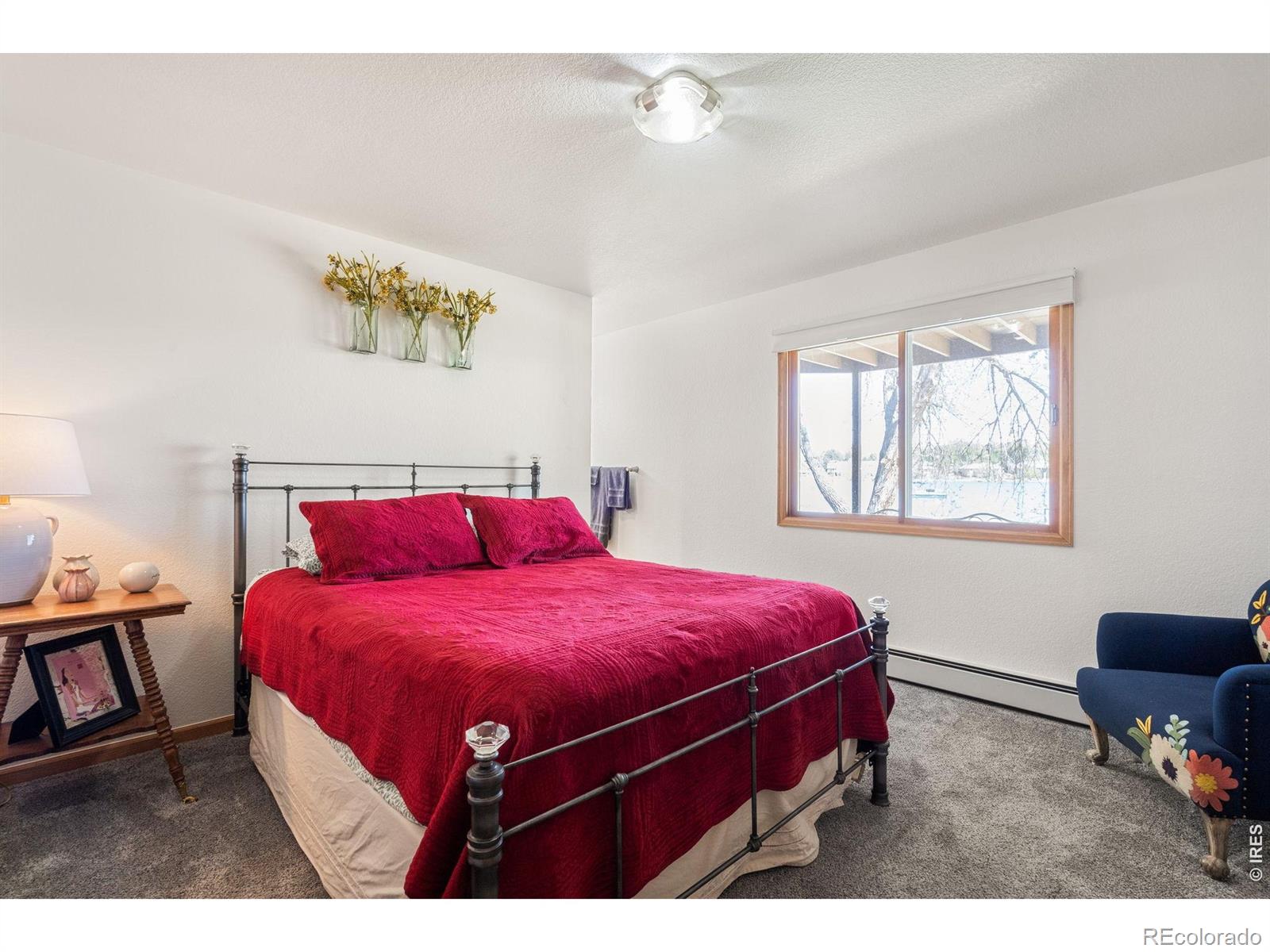 MLS #RECIR1063430 image #19