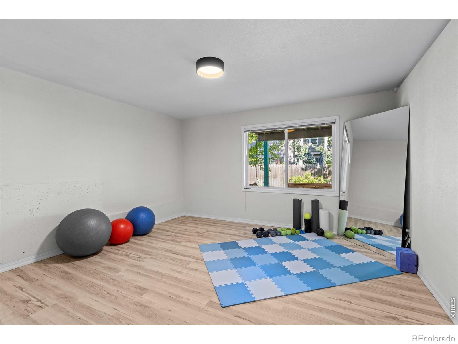 MLS #RECIR1063511 image #29
