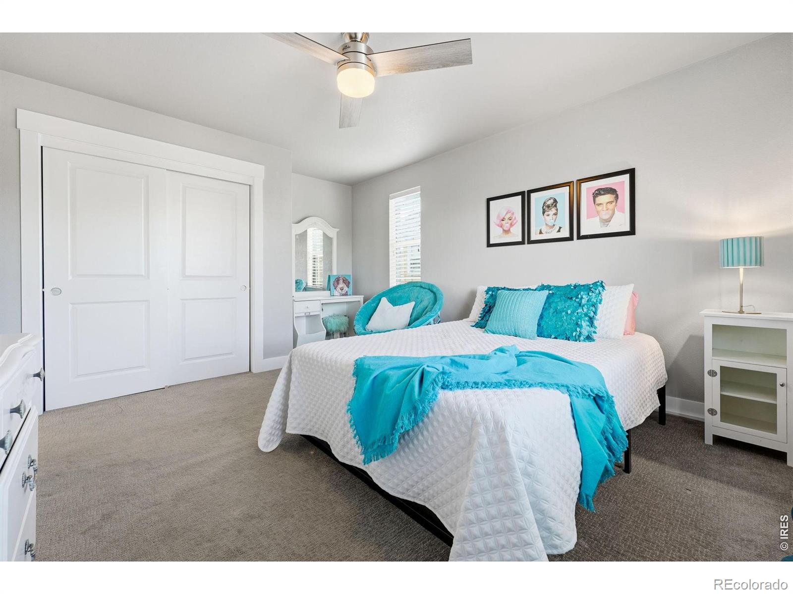 MLS #RECIR1063752 image #19