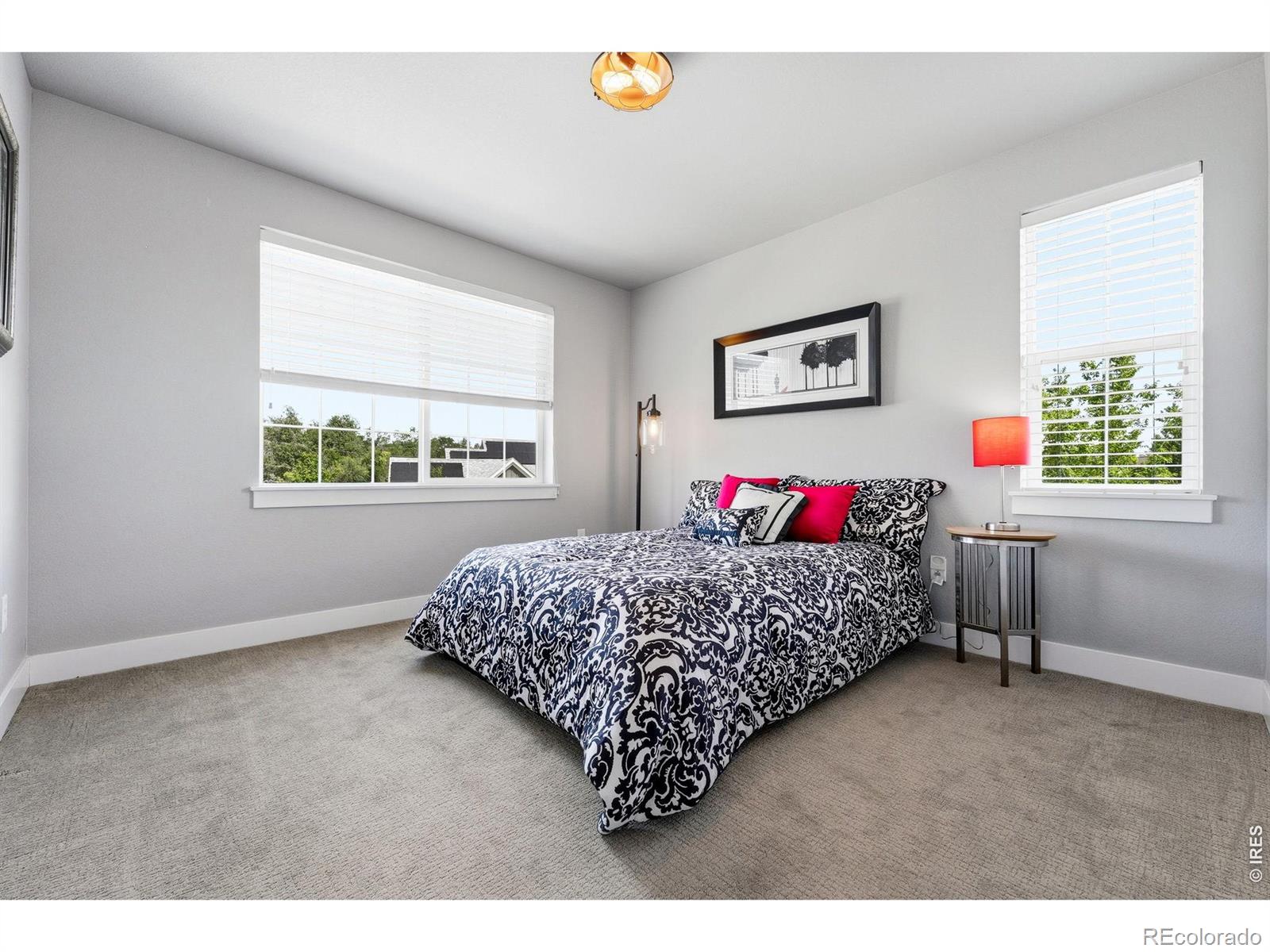MLS #RECIR1063752 image #22