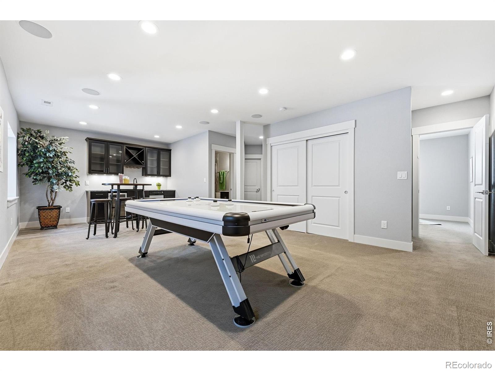 MLS #RECIR1063752 image #26