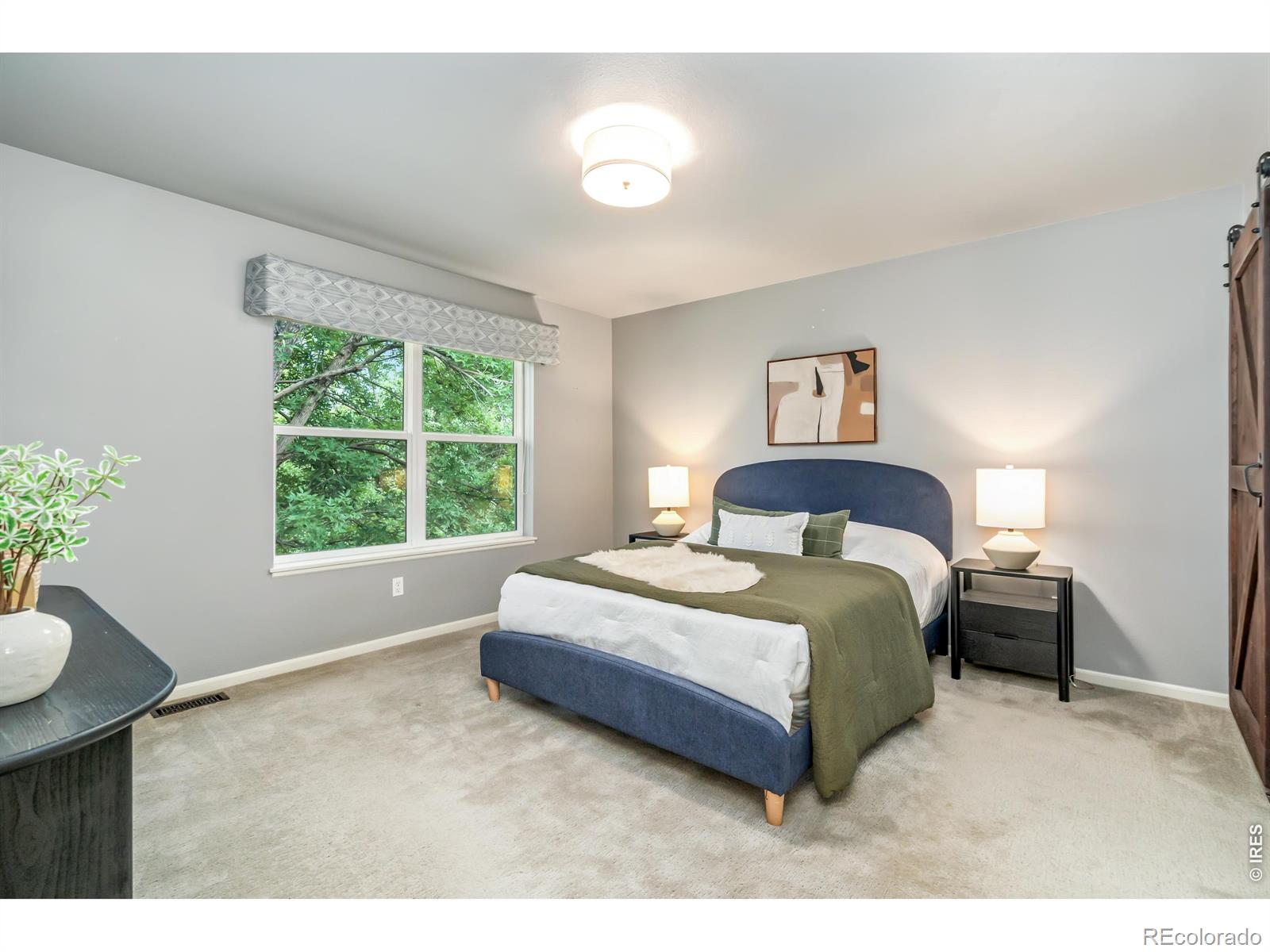 MLS #RECIR1063936 image #17