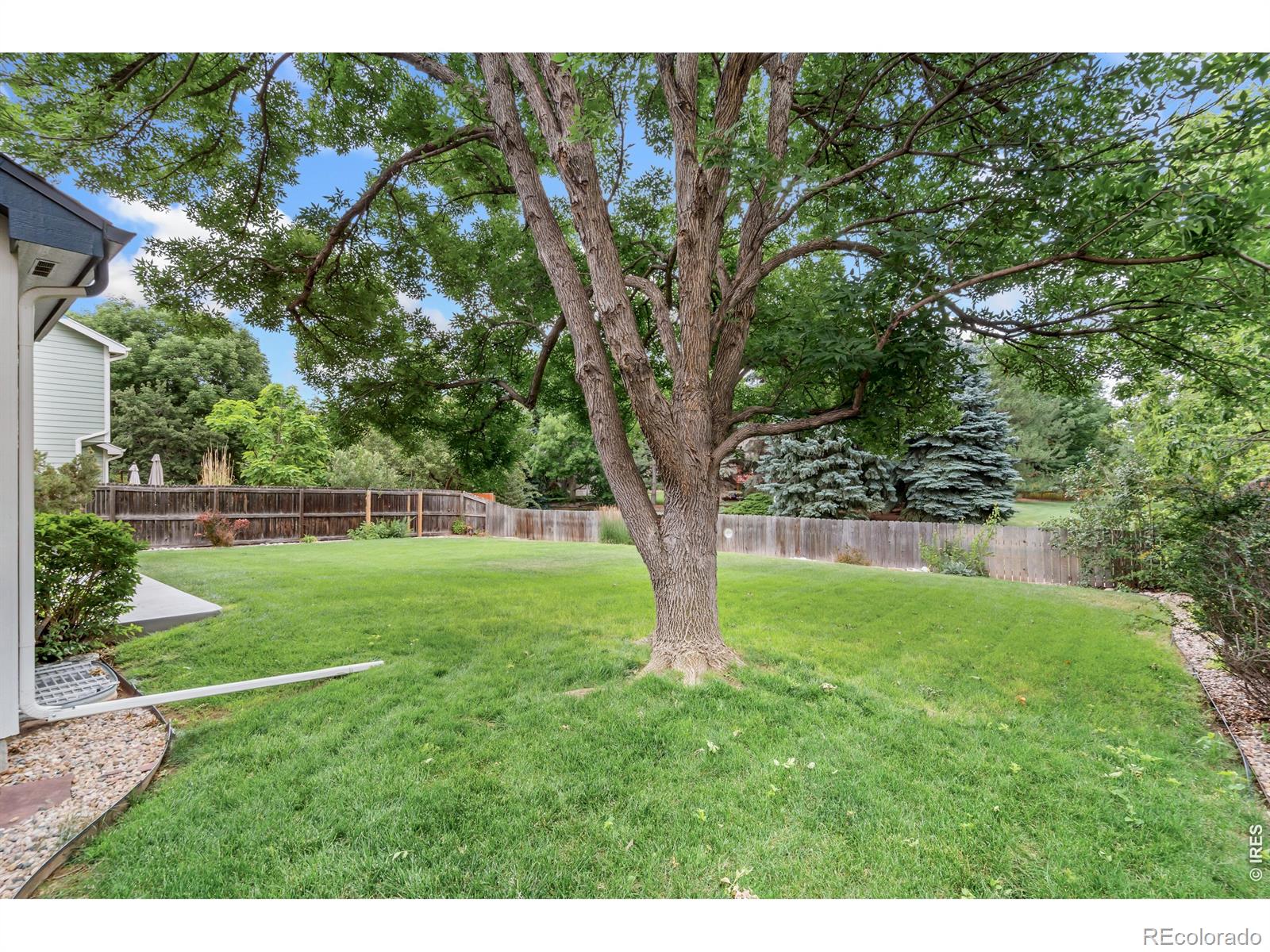 MLS #RECIR1063936 image #38