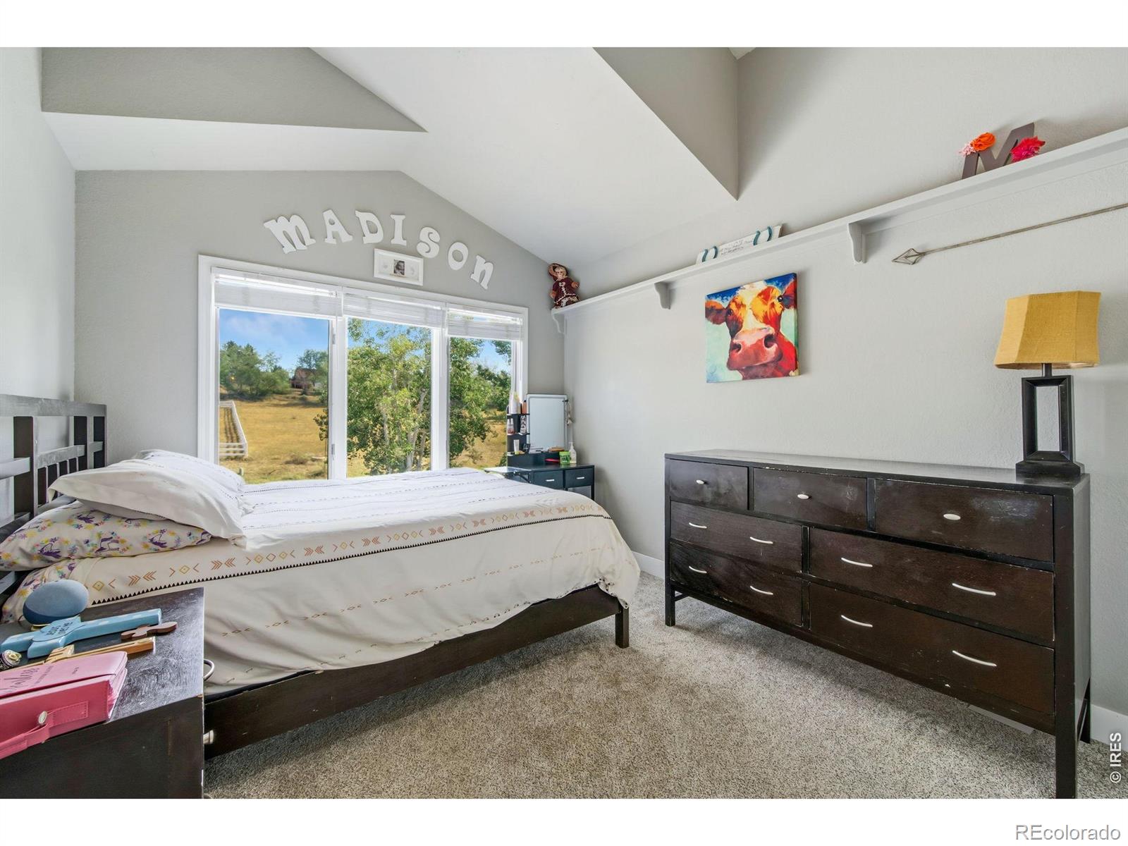 MLS #RECIR1063987 image #16