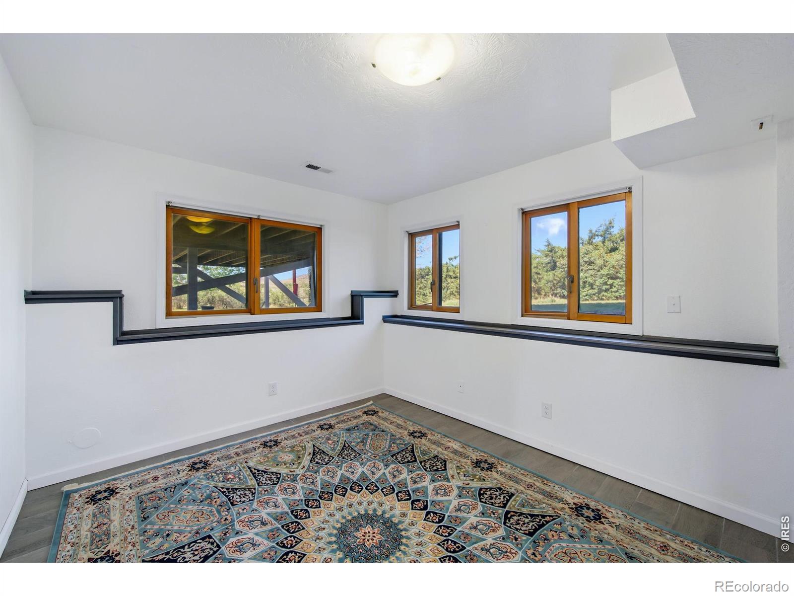 MLS #RECIR1063987 image #24