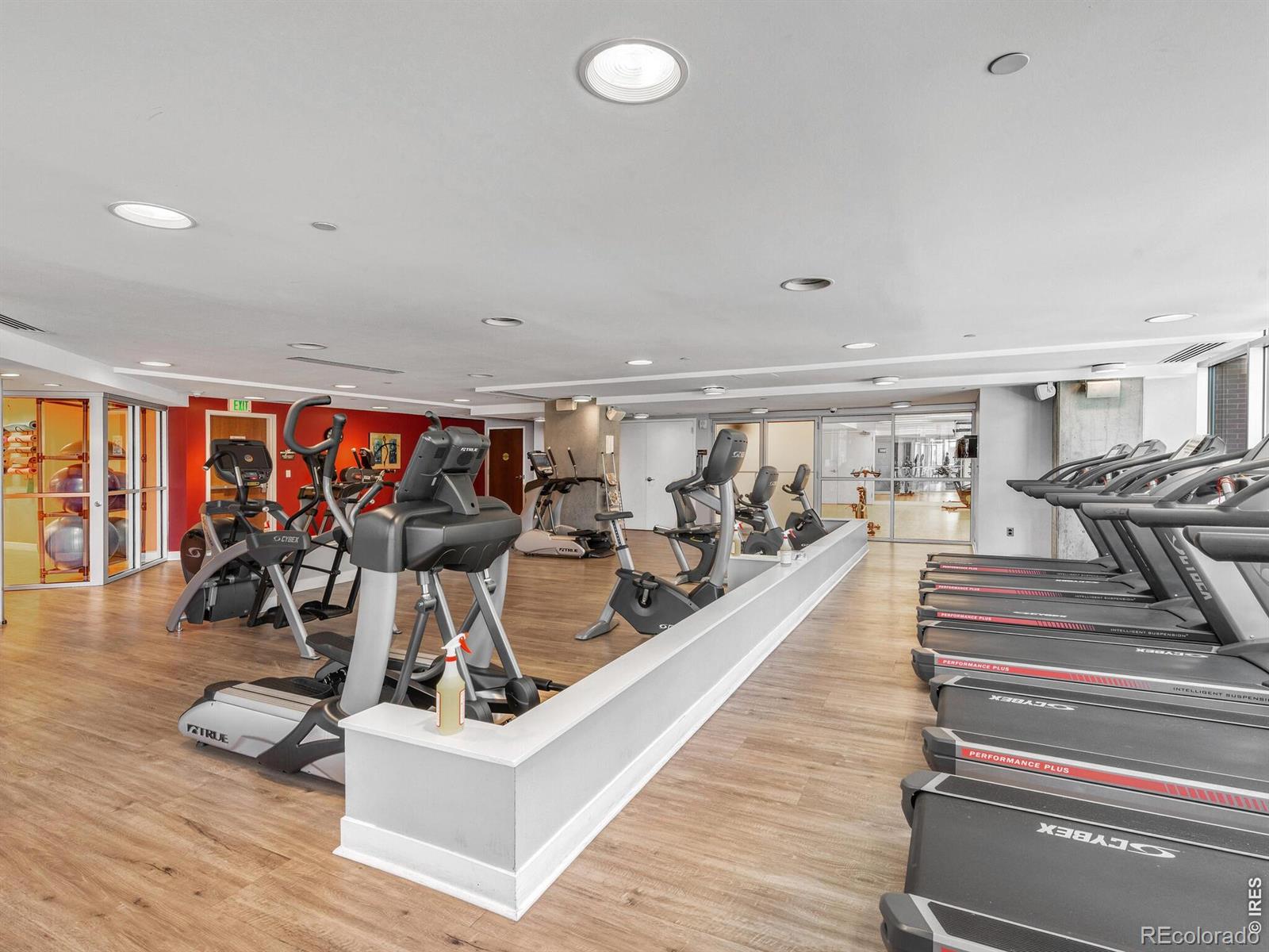 MLS #RECIR1064177 image #41