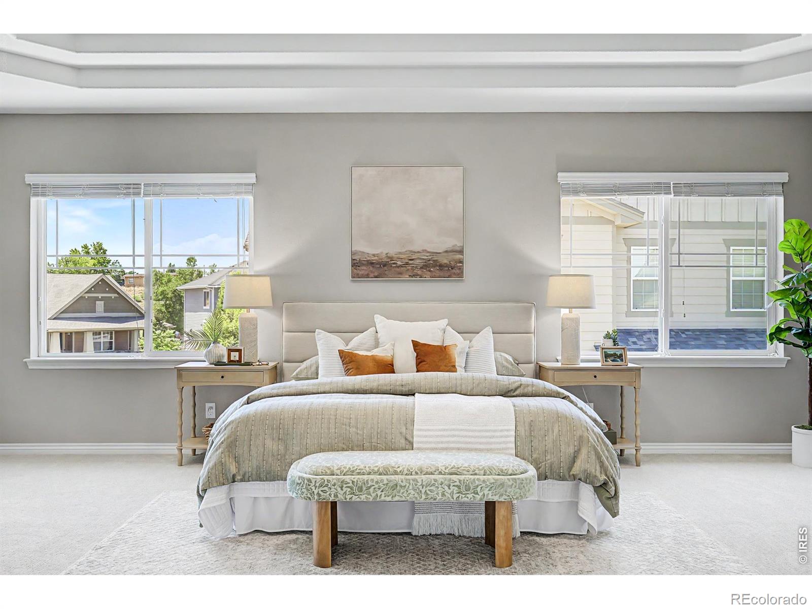 MLS #RECIR1064274 image #23