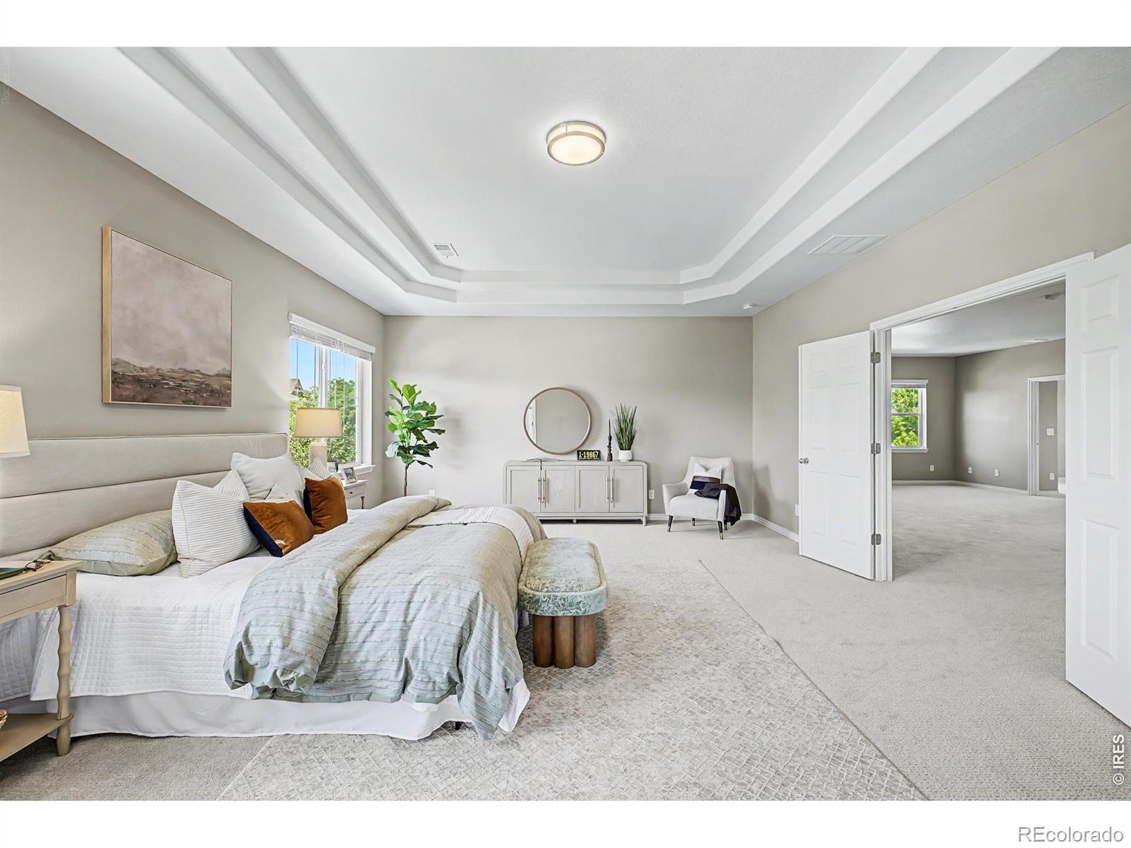MLS #RECIR1064274 image #25
