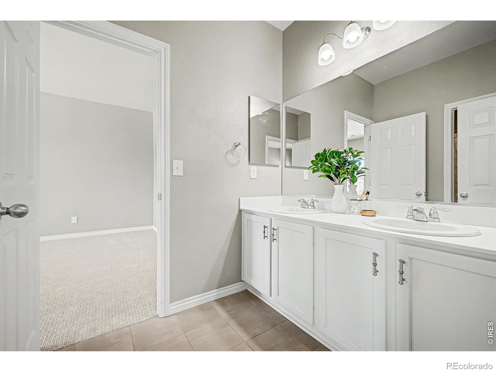 MLS #RECIR1064274 image #32