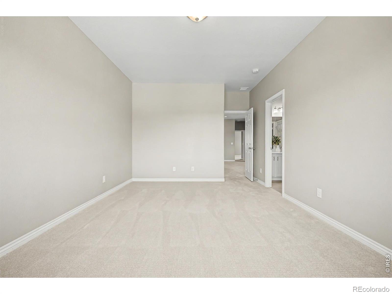 MLS #RECIR1064274 image #34