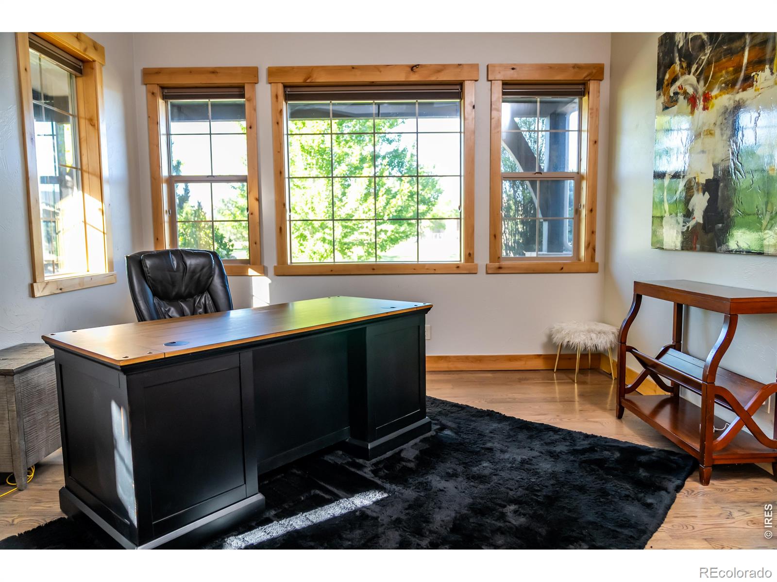 MLS #RECIR1064552 image #12