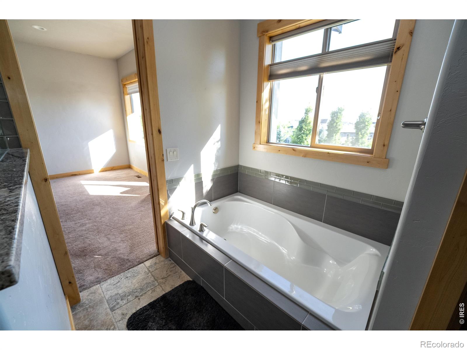 MLS #RECIR1064552 image #16