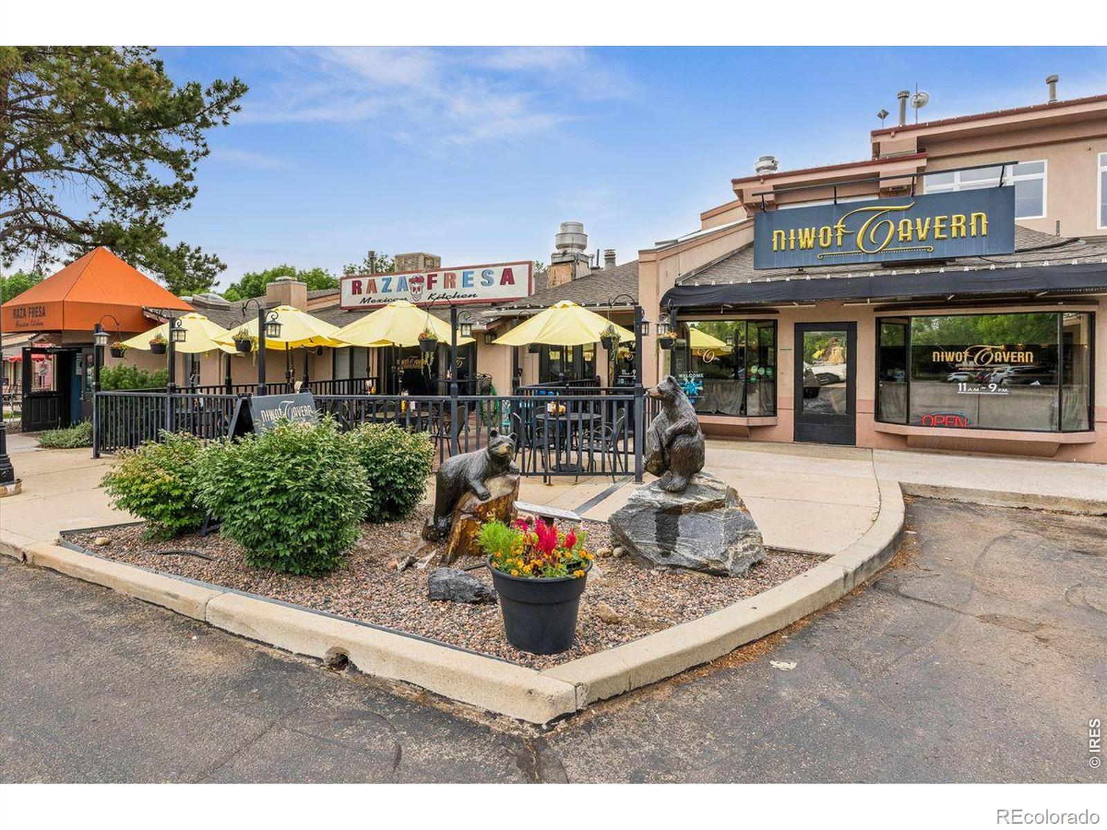 MLS #RECIR1065109 image #45