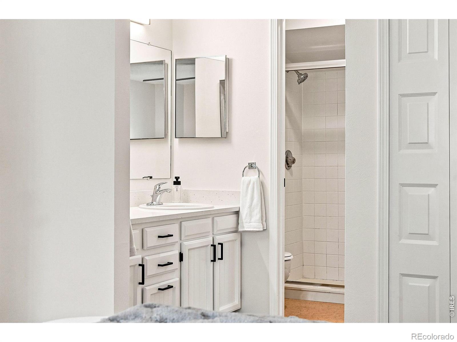 MLS #RECIR1065232 image #27