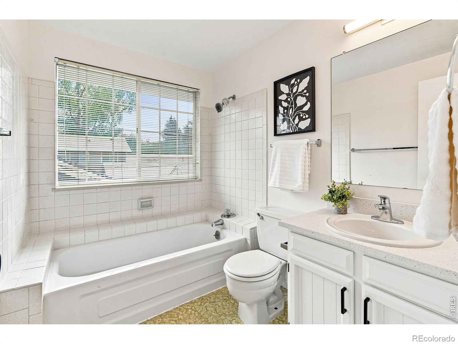 MLS #RECIR1065232 image #30