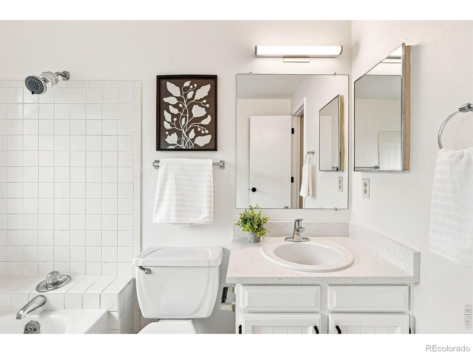MLS #RECIR1065232 image #31