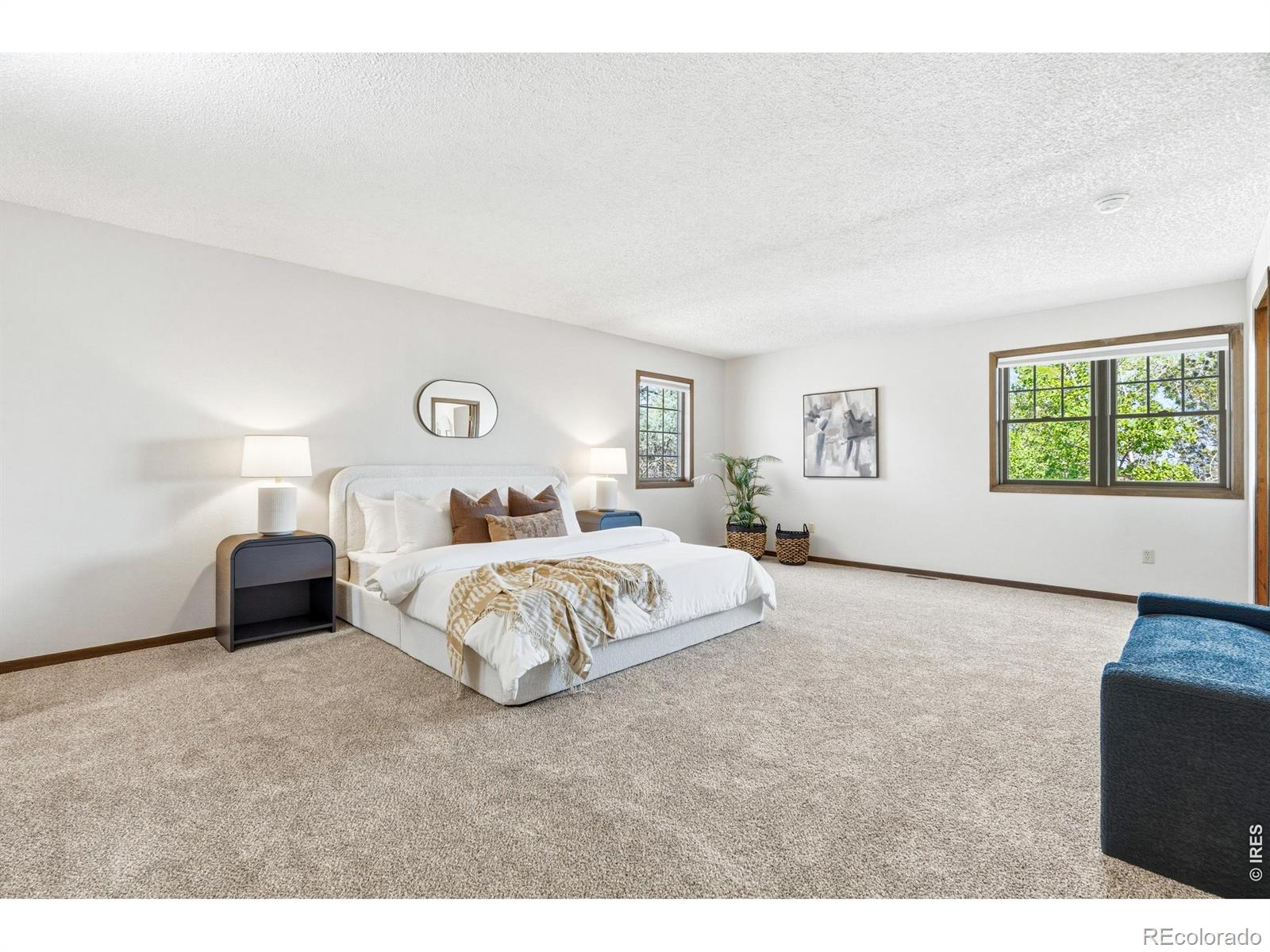 MLS #RECIR1065288 image #20