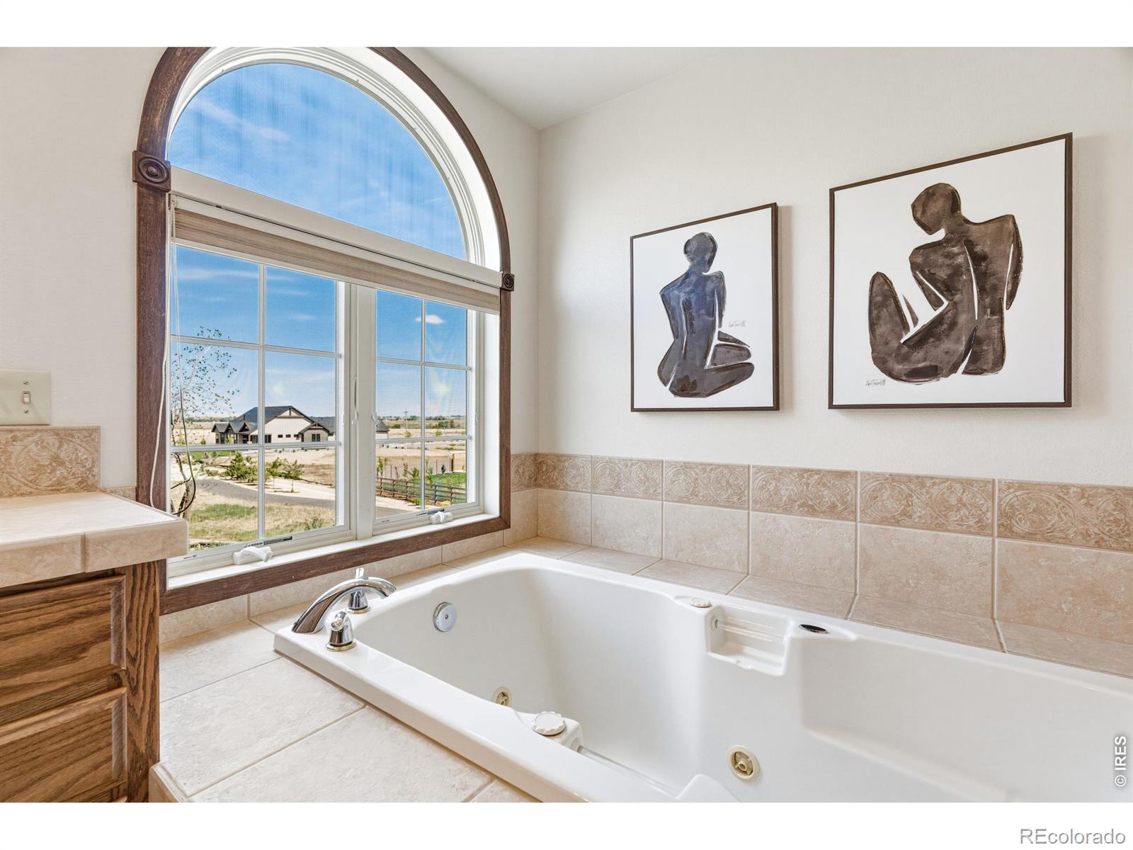 MLS #RECIR1065288 image #24
